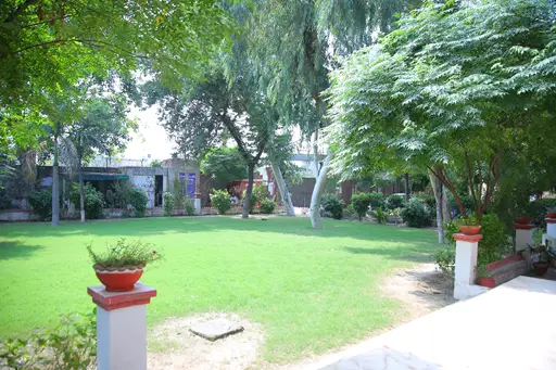 One of the lawns